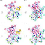 Consolidation and change: Exploring the impact of anger and network dynamics on inequality belief systems