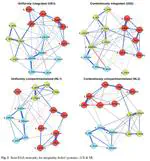 Inequality Belief Systems: What They Look Like, How to Study Them, and Why They Matter