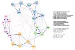 How do people understand inequality in Chile? A study through attitude network analysis